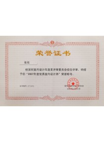 2007 Outstanding interior designer